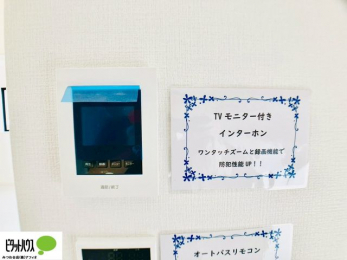 ̑@ԂSTVj^[tC^[z
