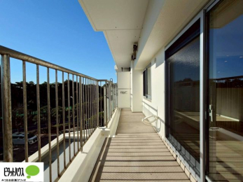 �o���R�j�[�@�z������̗ǂ��L�X�o���R�j�[�B