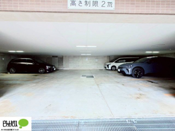 ���ԏ�@�J�[�X�y�[�X