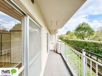 oRj[@zc₽̐󕨂郏ChoRj[