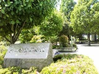 ӊ@LlGM˗Βn k16B 1230m