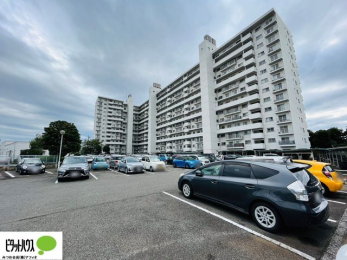 Oώʐ^@sJsJtH[ςłɐVn߂܂Iw͂Cyɂ⍇܂B