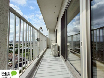 oRj[@zc₽̐󕨂郏ChoRj[