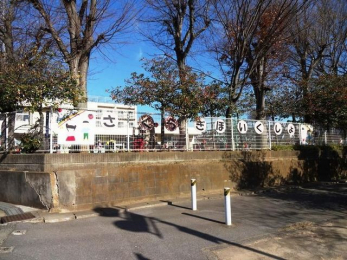 ӊ@ts/ؕۈ珊 k10B 800m