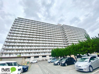 Oώʐ^@w͂Cyɂ⍇܂B