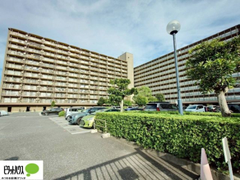 Oώʐ^@w͂Cyɂ⍇܂B