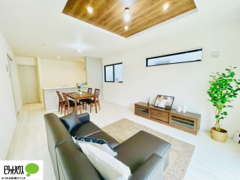 rO@PK͉J˃Vb^[tŁAV̖̎hƂȂǈSł