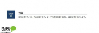 ̑@񍐁F͌ʂƂɁȀڍׂ񍐁Bf[^⌻ʐ^mFAʂ񍐂܂B