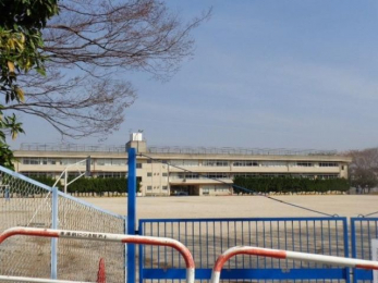 ӊ@ˎsL̉ԏwZ k7B 498m