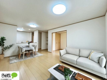 rO@傫ȑ̂郊rO͖邭AʂǂAƑ݂Ȃ̏΂n܂