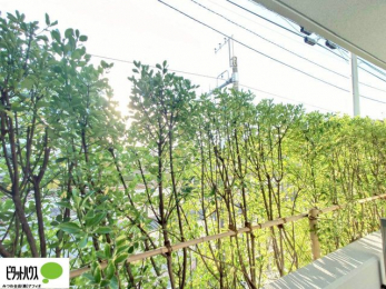 ���̑��@�o���R�j�[����̒��]�B