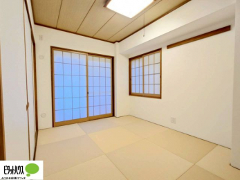 [@áAqlƗV񂾂AƎAQȂǎglXł