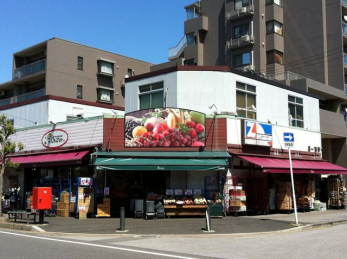 ӊ@SH`F[X k7B 550m