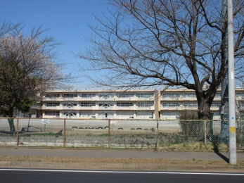 ӊ@stꏬwZ k6B 480m