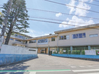 ӊ@ˎsՕOwZ k7B 550m