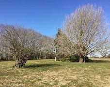 ӊ@̖ؗΒn k6B 480m