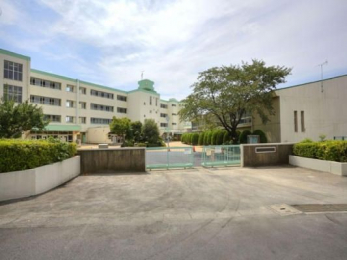 ӊ@Rs菬wZ k7B 500m