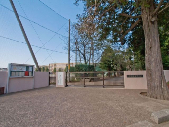 ӊ@Ds/ꒆwZ k7B 500m