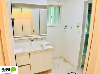 ʑEʏ@傫ȋŌ₷ʉϑ