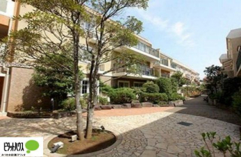 Oώʐ^@w͂Cyɂ⍇܂B