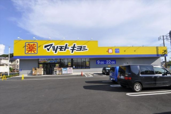 ӊ@}cgLVːʖxX k14B 1060m