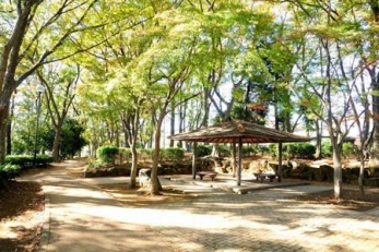 ӊ@iyߗ׌ k4B 260m