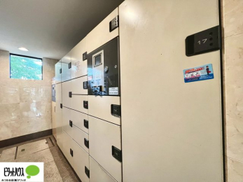 ���̑��@��z�{�b�N�X