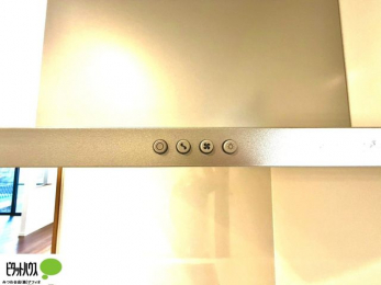 ���̑��@�p���t���ȃ����W�t�[�h�B�������ȒP�ł����L���C�ȋ�C���B