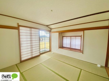 ̑ρ@áAqlƗV񂾂AƎAQȂǎglXł