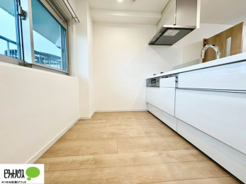 Lb`@ptȃWt[hBȒPłLCȋCB