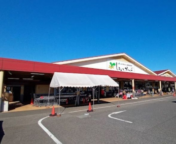 ӊ@JAt݂炢_Y傢[/tX k20B 1530m