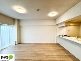 rO@傫ȑ̂郊rO͖邭AʂǂAƑ݂Ȃ̏΂n܂