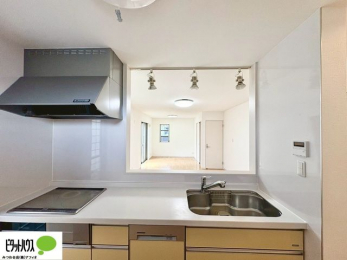 Lb`@lC̃JE^[Lb`́ArOɂ邲Ƒ̗lqf܂