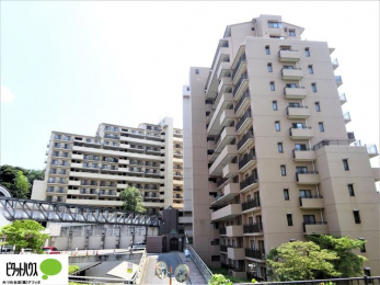 Oώʐ^@w͂Cyɂ⍇܂B