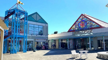 ӊ@݂u}o[Y[ k36B 2870m