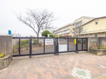 ӊ@s˃PJwZ k7B 450m