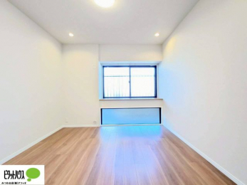 ���[�@�傫�ȑ����疾�邢�z�˂�������܂��B