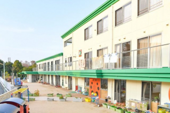 ӊ@F肱ǂ̖؊w̖؉ k10B 740m