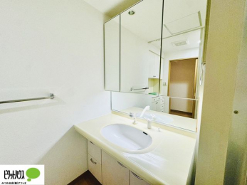 ʑEʏ@傫ȋŌ₷ʉϑ