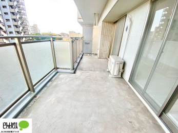 �o���R�j�[�@�z������̗ǂ��L�X�o���R�j�[�B