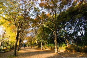 ӊ@t̐X k20B 1550m