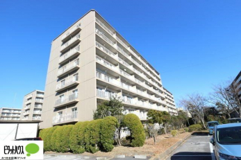 Oώʐ^@sXnߍx̃ybgƕ点}VłB