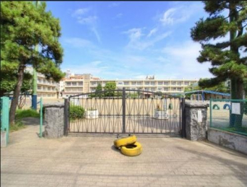 ӊ@ts@wZ k11B 850m