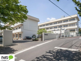 ӊ@Ds/wZ k16B 1230m