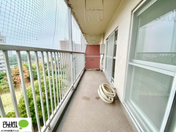 �o���R�j�[�@�z������̗ǂ��L�X�o���R�j�[�B