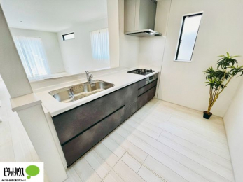 Lb`@{Hʐ^FlC̃JE^[Lb`́ArOɂ邲Ƒ̗lqf܂