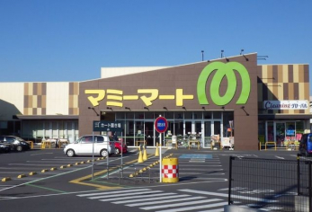 ӊ@}~[}[gˌÃX k6B 450m