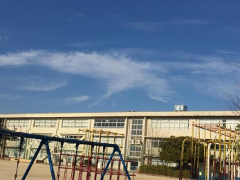 ӊ@ˎsnwZ k4B 270m