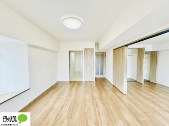 rO@̑傫ȃ\t@uĂfӏ܂ǂłˁB