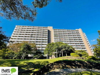 Oώʐ^@w͂Cyɂ₢킹B